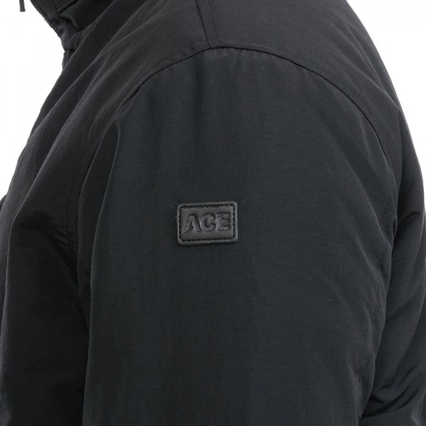 ACE-2011
