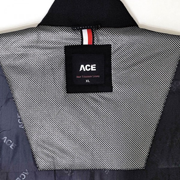 ACE-2013