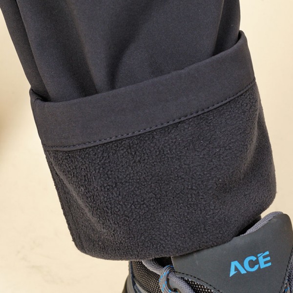 ACE-P173