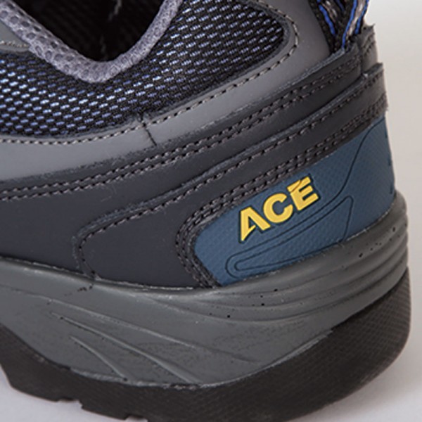 ACE-433