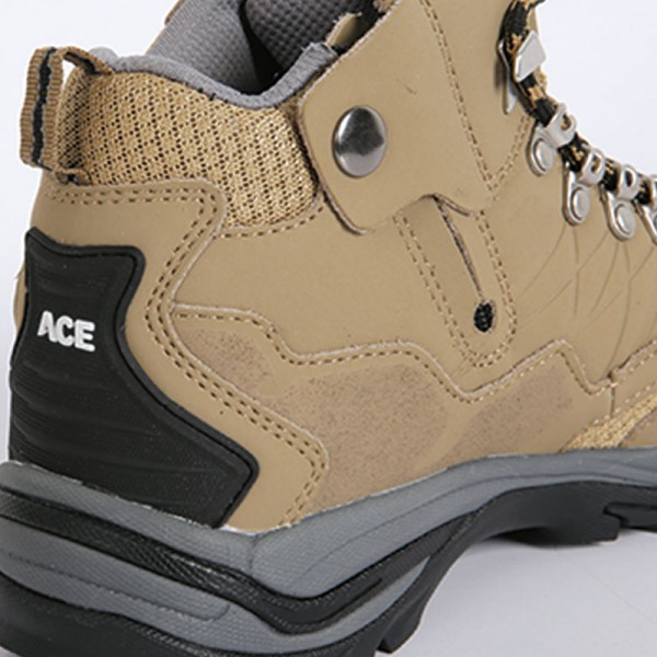 ACE-6202