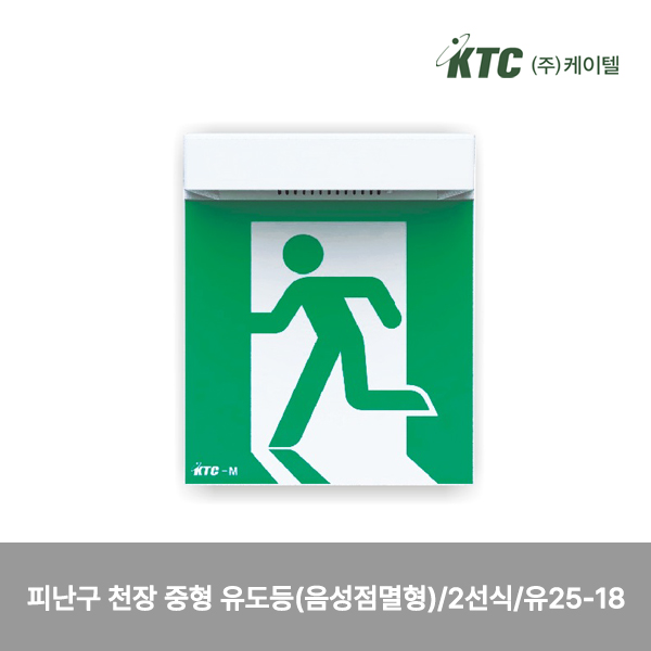 피난구 천장 중형 유도등(음성점멸형)/2선식/케이텔/유25-18/203*250*83/개